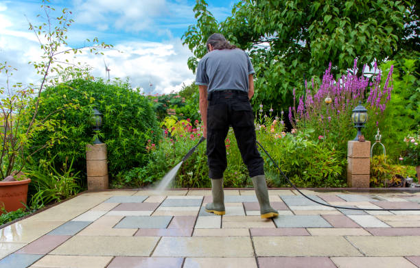 Best Driveway Pressure Washing  in Nellieburg, MS